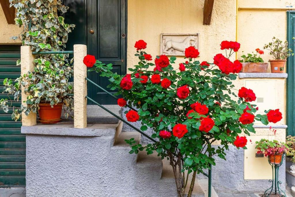 Relax Stay In A Typical Milan Courtyard - Navigli Exterior photo